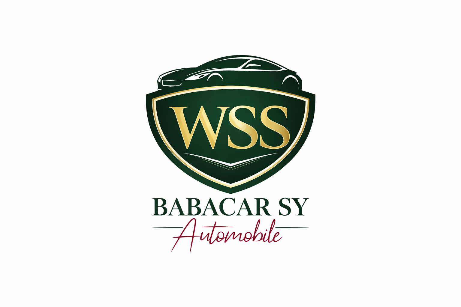 Logo WSS